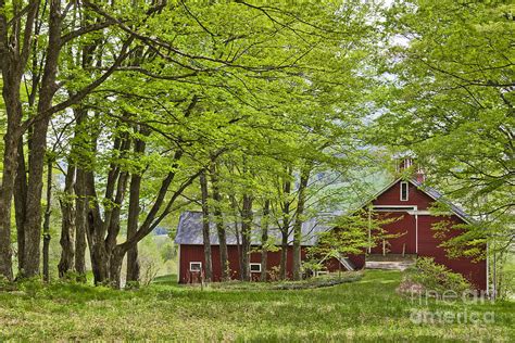 Barn In Spring Woods Photograph By Alan L Graham Fine Art America