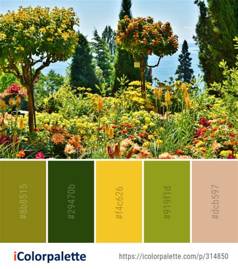 Color Palette Ideas From Vegetation Flora Botanical Garden Image