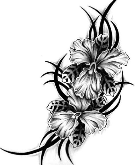Pictures Of Flower Tattoo Designs Hawaiian Flower Drawing