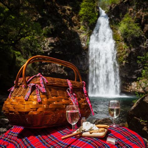 A Dreamy Picnic By A Waterfall Like In The Magical Town Of Walls Of Water In The Peach Keeper