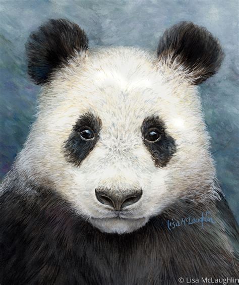 Painting Panda Bear Original Art By Lisa Mclaughlin