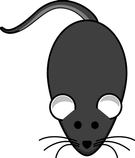 Clipart Rat Grey Rat Clipart Rat Grey Rat Transparent Free For