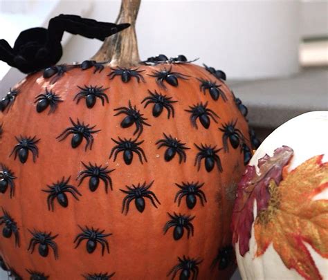 No Carve Spider Pumpkin Pumpkin Spider Halloween Pumpkins Carvings