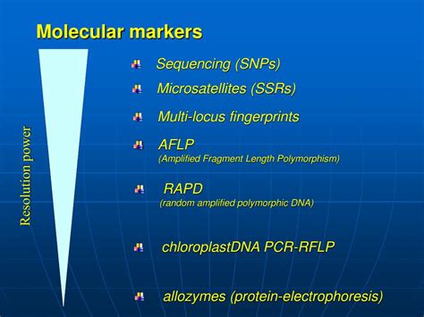 PPT GENETIC MARKERS IN PLANT BREEDING PowerPoint Presentation Free Download ID