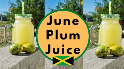 Jamaican June Plum Juice Recipe Best Recipe 2020 Youtube