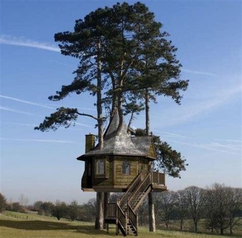Top 10 Most Amazing Tree Houses Around The World