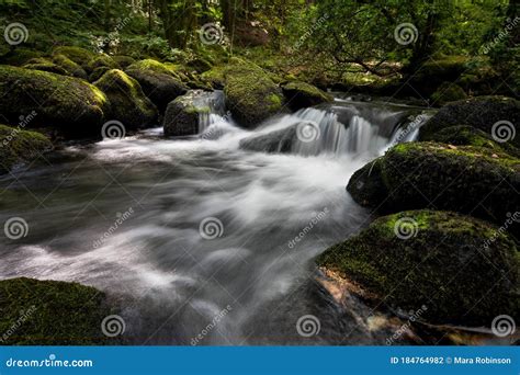 Clear Stream Water Cascades Over Rocks While Flowing Down A Woodland