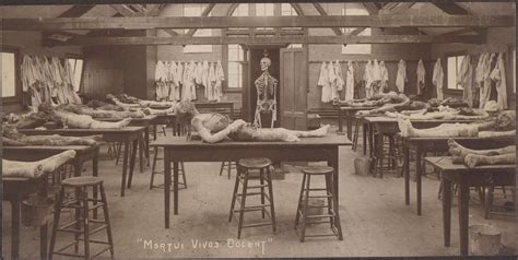 Medical School Dissection Room With Rotting Cadavers Standard Stuff