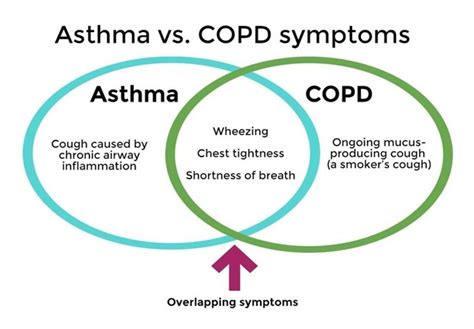 What Is The Difference Between Copd And Asthma Health24