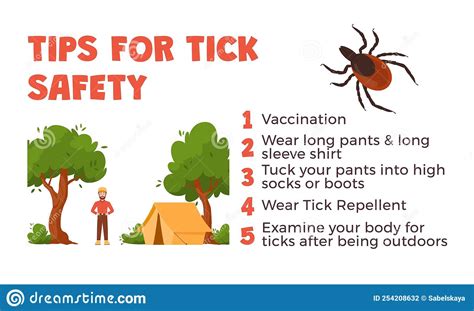 Ticks Safety Tips Mite Bites Prevention Infographics Flat Vector