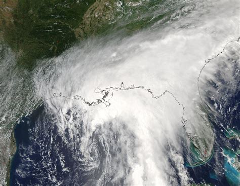 Deadly Tropical Storm Cindy Makes Landfall In Louisiana Nbc News