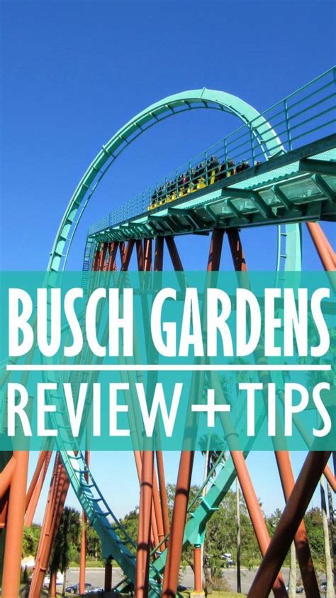 Visiting Busch Gardens Tampa Bay A Review Tips Busch Gardens