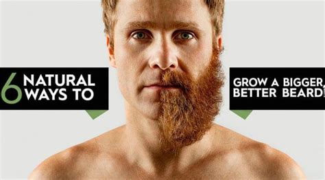 Grow A Better Beard With These Easy To Follow Steps Guaranteed To Give