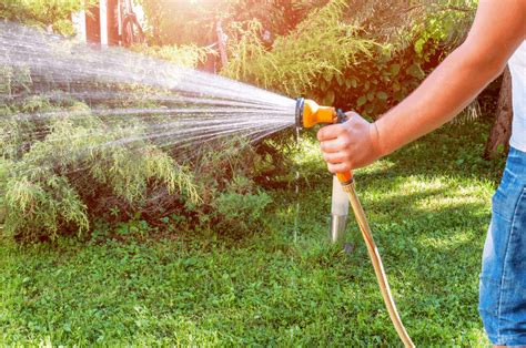 You can still water your lawn by opting for any other. Best Way To Water Lawn Without Sprinkler System: 3 Water-Saving Methods!