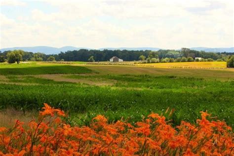 Gettysburg Pa Photo Summer Time Summer