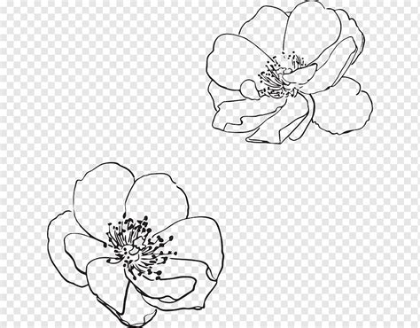 Flower Bouquet Drawing Flower Line Drawings Flower Sketches Line Art