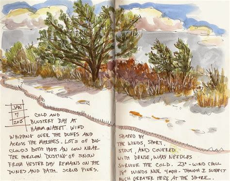 Jan Blencowes Sketchbook Hypothesis Nature Sketching In Winter
