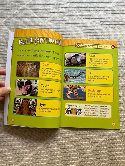 National Geographic Kids Tigers Level 2 Hobbies And Toys Books