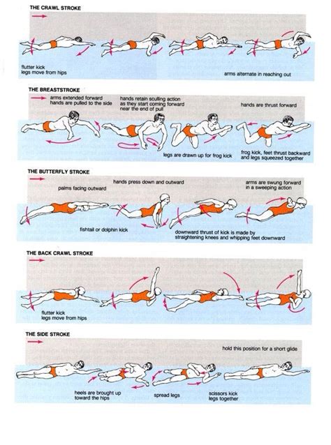 Loading Swimming Strokes Swimming Workout Swimming Tips