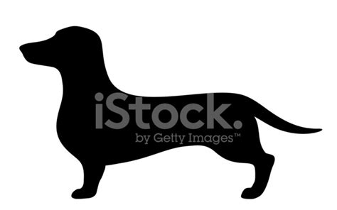 Dachshund Dog Vector Black Silhouette Stock Photo Royalty Free