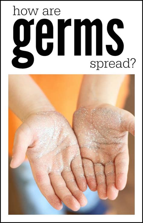 How Are Germs Spread Demonstrating The Importance Of Hand Washing I