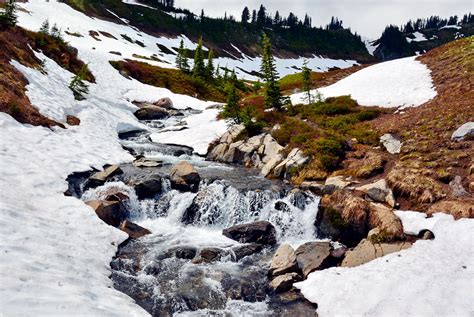 Myrtle Creek Paradise Mount Rainier National Park Jim Culp Flickr