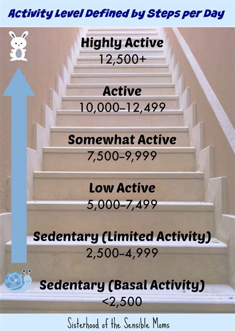 Can 10000 Steps A Day Make You Fit Insider Yoga Website