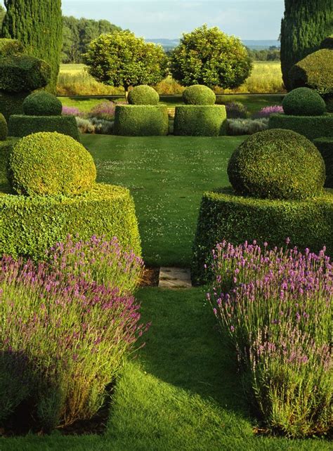 17 Best Images About Topiary Gardens On Pinterest Gardens Wisteria