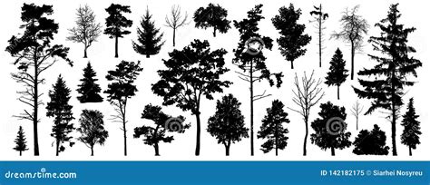 Tree Silhouette Vector Isolated Forest Trees On White Background Stock