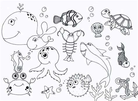 20 Free Printable Ocean Coloring Pages