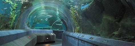 National Aquarium Of New Zealand Napier Hawkes Bay Tourism