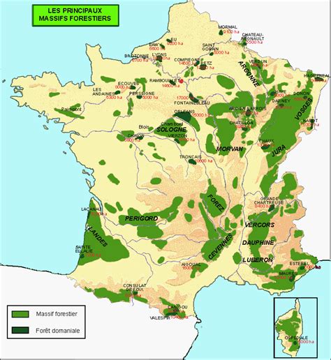 Les Principaux Massifs Forestiers Physical Geography Continents World