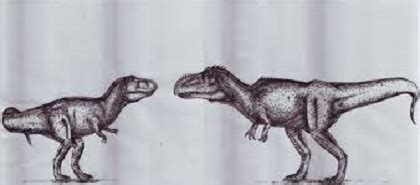 Rex, while the shapes of their skulls are almost the same here. T-Rex vs Giganotosaurus Facts | Dinosaurs Pictures and Facts