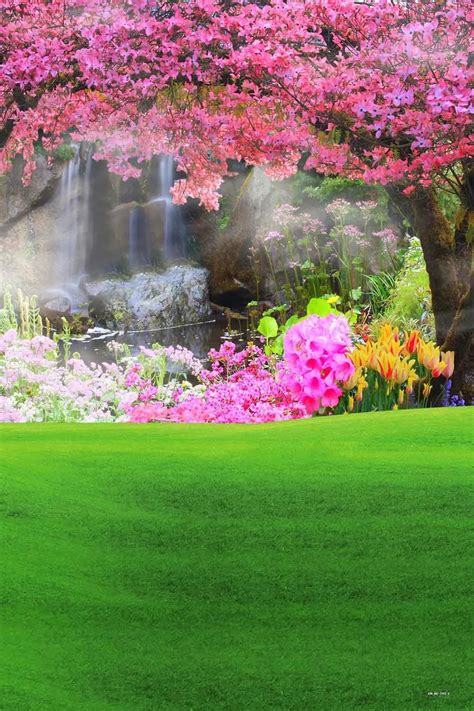 Spring Flowers Green Grass Backdrop For Photography Cm Hg 293 E In 2021