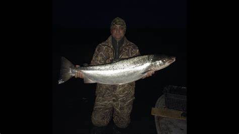 Диета на семгу Рыбалка на семгу и сига. Salmon fishing. Ловля рыбы сетями. - YouTube Рыбалка на семгу и сига. Salmon fishing. Ловля рыбы сетями. - YouTube Диета на семгу