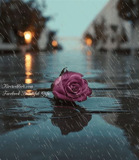 Beautiful S Images Rain  I Love Rain Rain Animation
