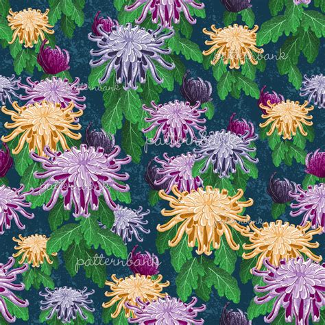 Chrysanthemum Pattern By German Parada Seamless Repeat Royalty Free