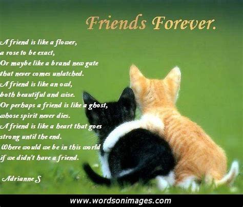 There are some friends that have been there for you since day one, through the best and. FRIENDSHIP DAY QUOTES IN SPANISH image quotes at relatably.com