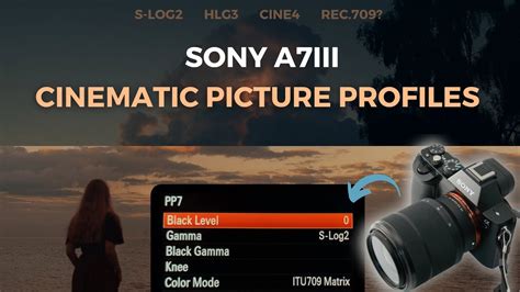 Best Sony A7iii Picture Profiles For Filmmaking Youtube