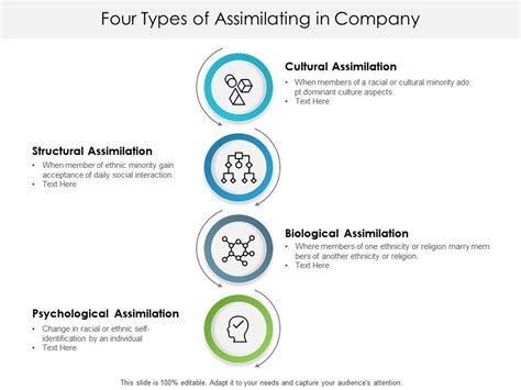 Four Types Of Assimilating In Company Powerpoint Templates Designs