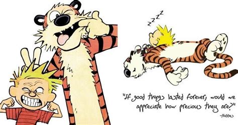 11 Life Lessons We Learned From Calvin And Hobbes