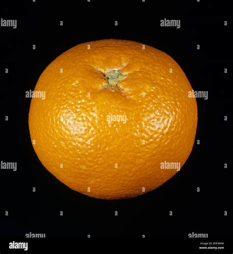 Whole Citrus Fruit Orange Variety Hassaku Stock Photo Alamy