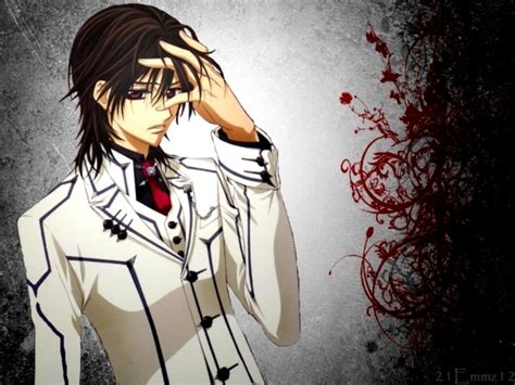 Originally i was told that kaname was 18 years old, which comes from the vampire knight official. Crazy Otakus: Vampire Knight (Anime)