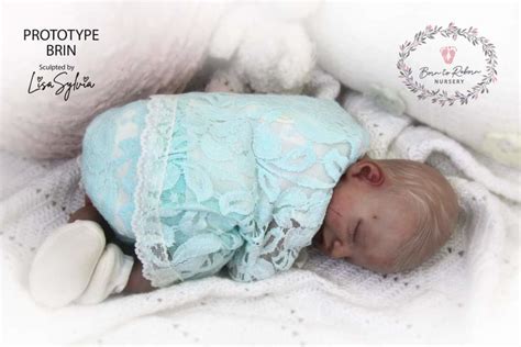 Adorable Prototype Reborn Baby Our Life With Reborns
