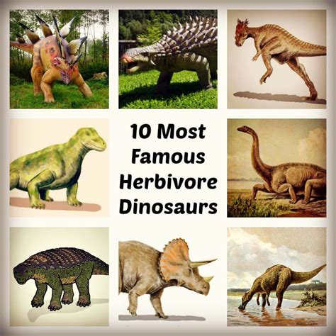 Diplodocus dinosaur is a huge dinosaur but is slimmer than the previous two types, but it has a very long neck and tail and a full length of 28 meters. Herbivore Dinosaurs | 10 Famous List of Plant-Eating Dinosaurs