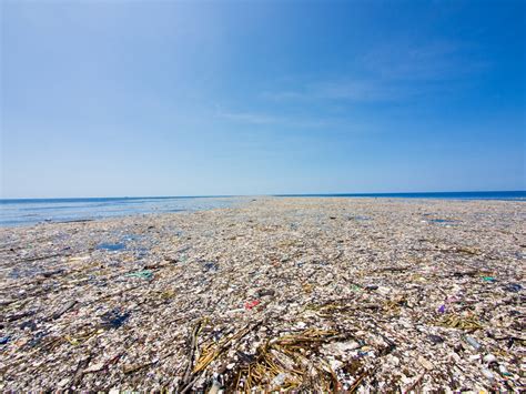 Pacific Garbage Patch 10 Rivers 1 Ocean