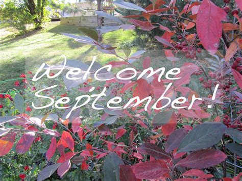 Pursuing Heart: Welcome September