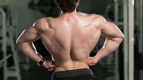 Best Barbell Workouts For Lats To Smoke Your Back Gains