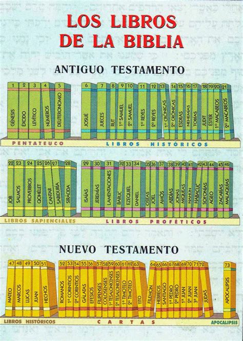 Orden De Los Libros De La Biblia Reina Valera 1960 Nmsexi
