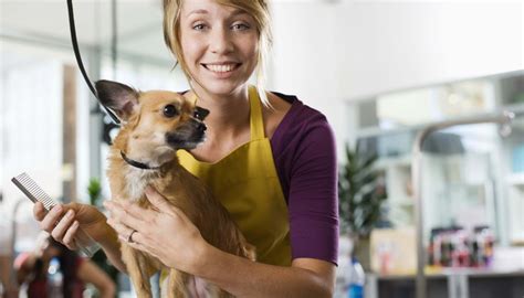 Credit karma is committed to ensuring digital accessibility for people with disabilities. Average Salary of a Pet Groomer | Bizfluent